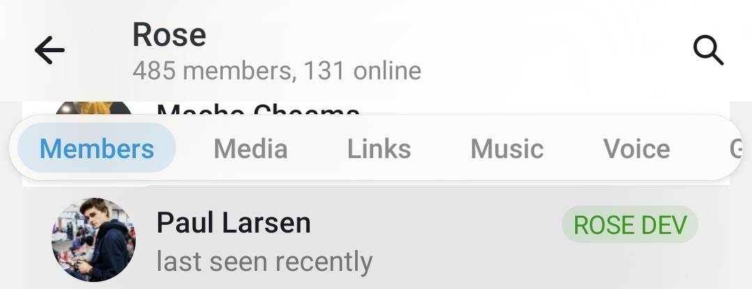 Paul Larsen appears in the ROSE token community